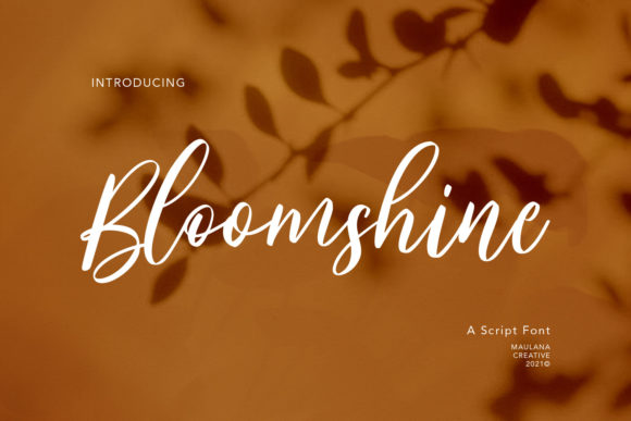 Bloomshine: The Script Handwritten Font for Modern Brands