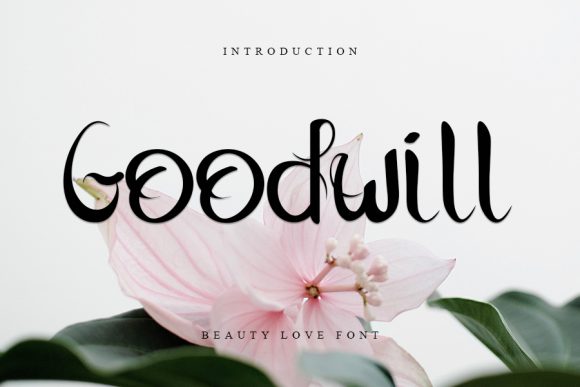 Goodwill Font for Modern Editorial Design