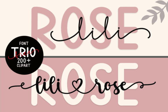 Lilirose Font: Elevate Your Brand Identity