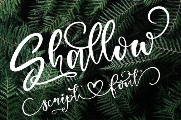 Shallow Font: Elevating Small Business Branding